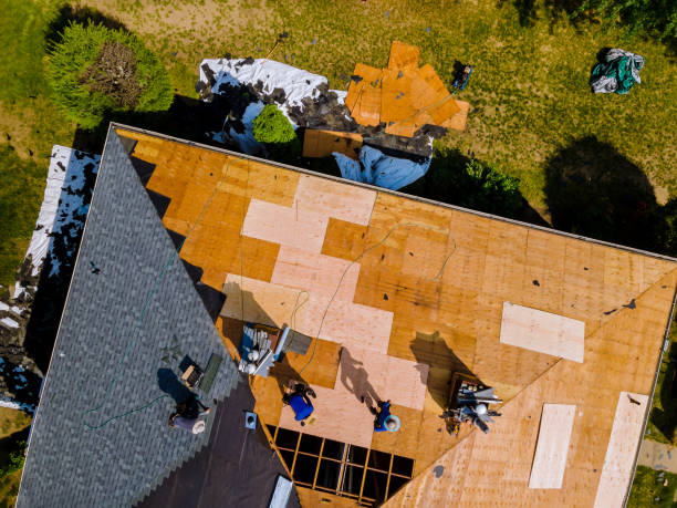 Best Commercial Roofing Services  in Freeman, SD