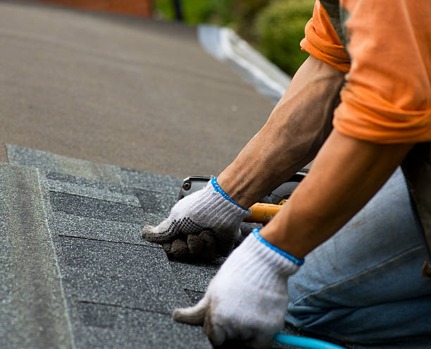 Best Commercial Roofing Services  in Freeman, SD