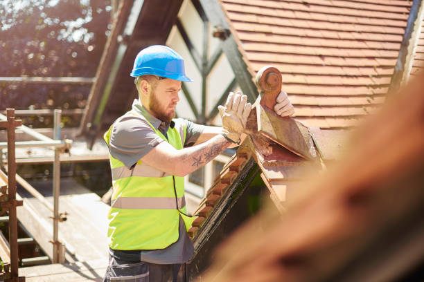 Best New Roof Installation  in Freeman, SD